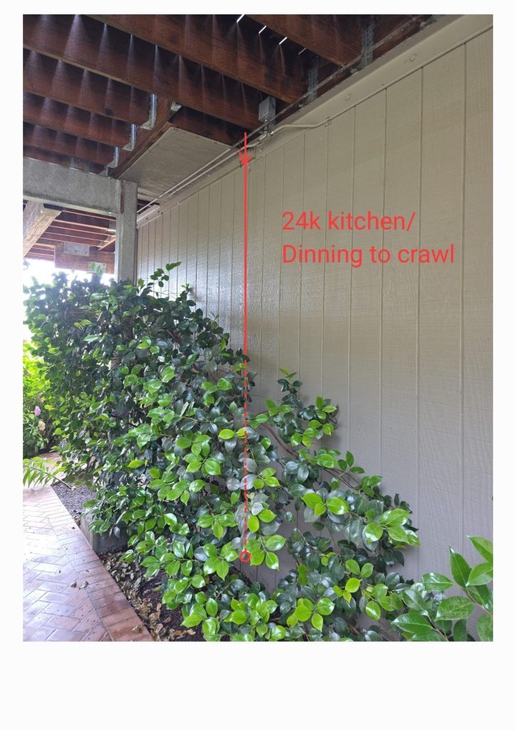 Dining to Crawl Drawing Layout