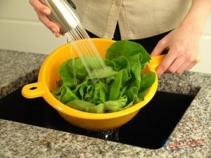 Ozone Water Purification