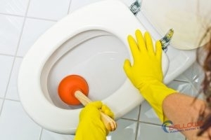Clogged Toilet Cleaning