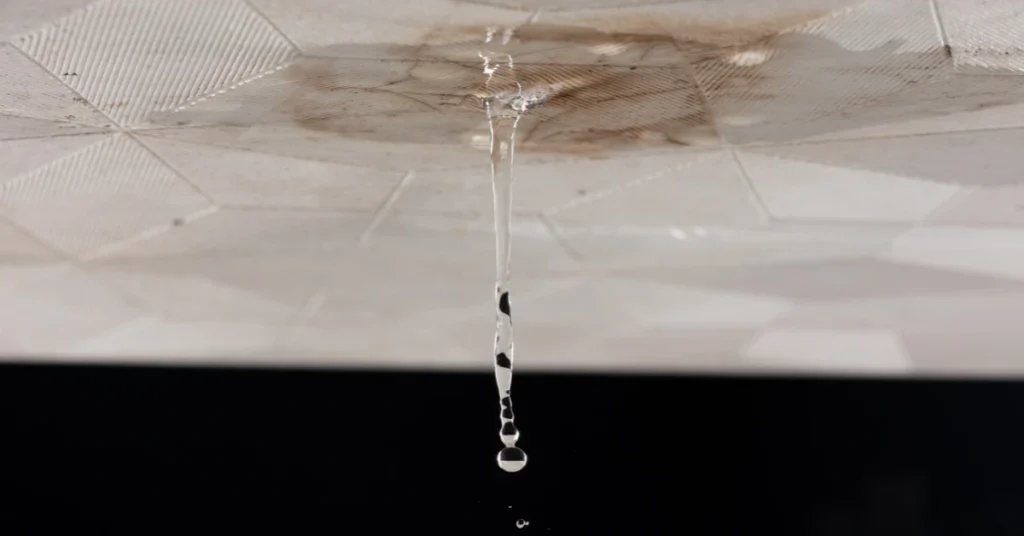 Crawl Space After Heavy Rain Damage