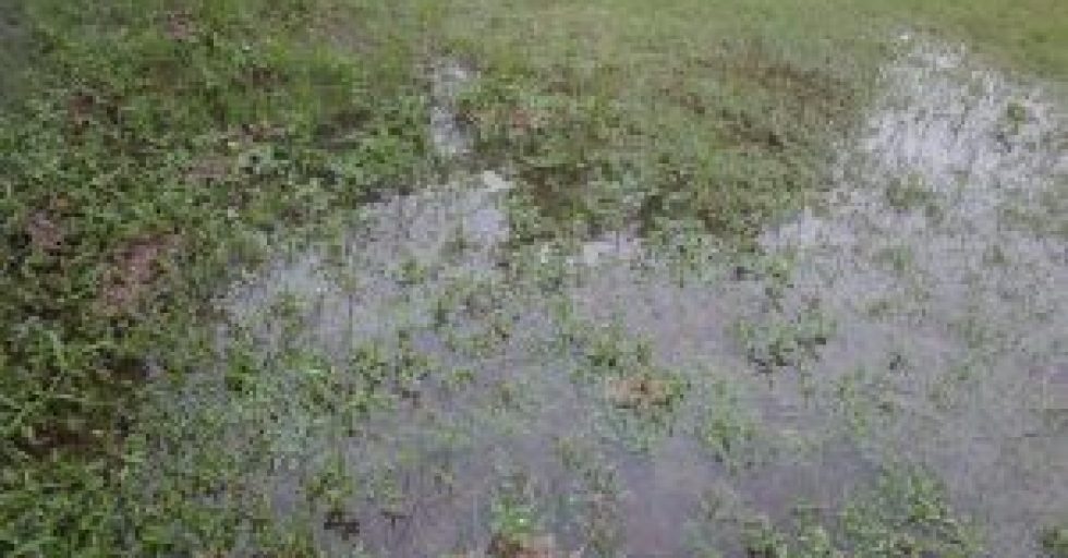47260865 - a flood in the lawn