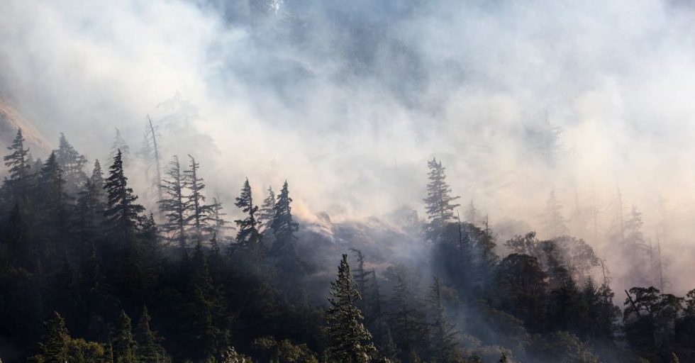 How to Keep Wildfire Smoke Out of Your House